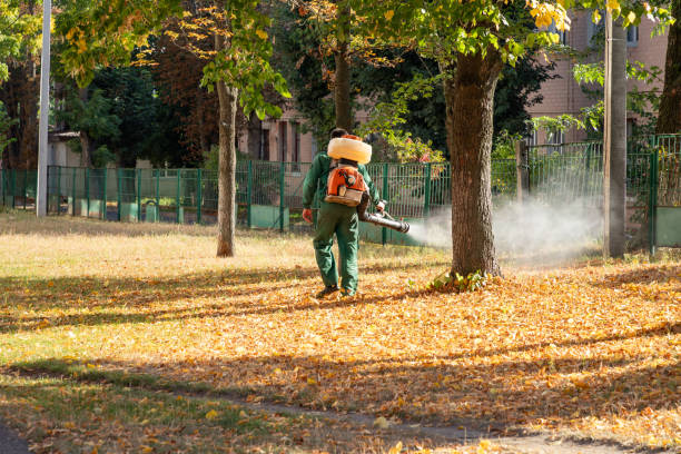 Best Pest Control for Businesses  in San Marcos, CA